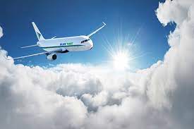 BlueDart Aviation to acquire two ex-SpiceJet B737-800F