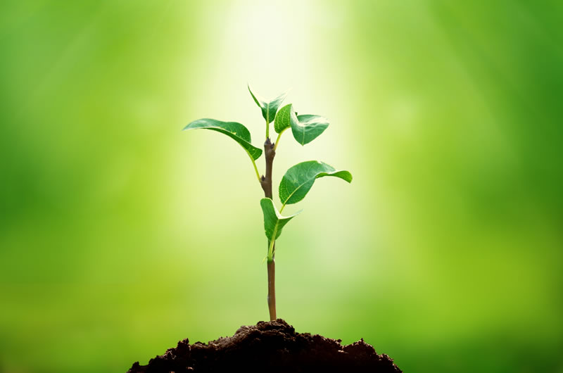 AAR shares the latest ESG report with focus on carbon neutrality