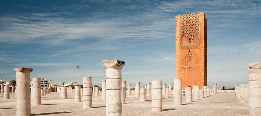 Qatar Cargo signs up for PROS AI-based software solution