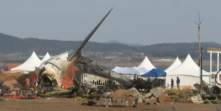 Bird remains found in engines of Jeju Air flight 2216, preliminary report reveals