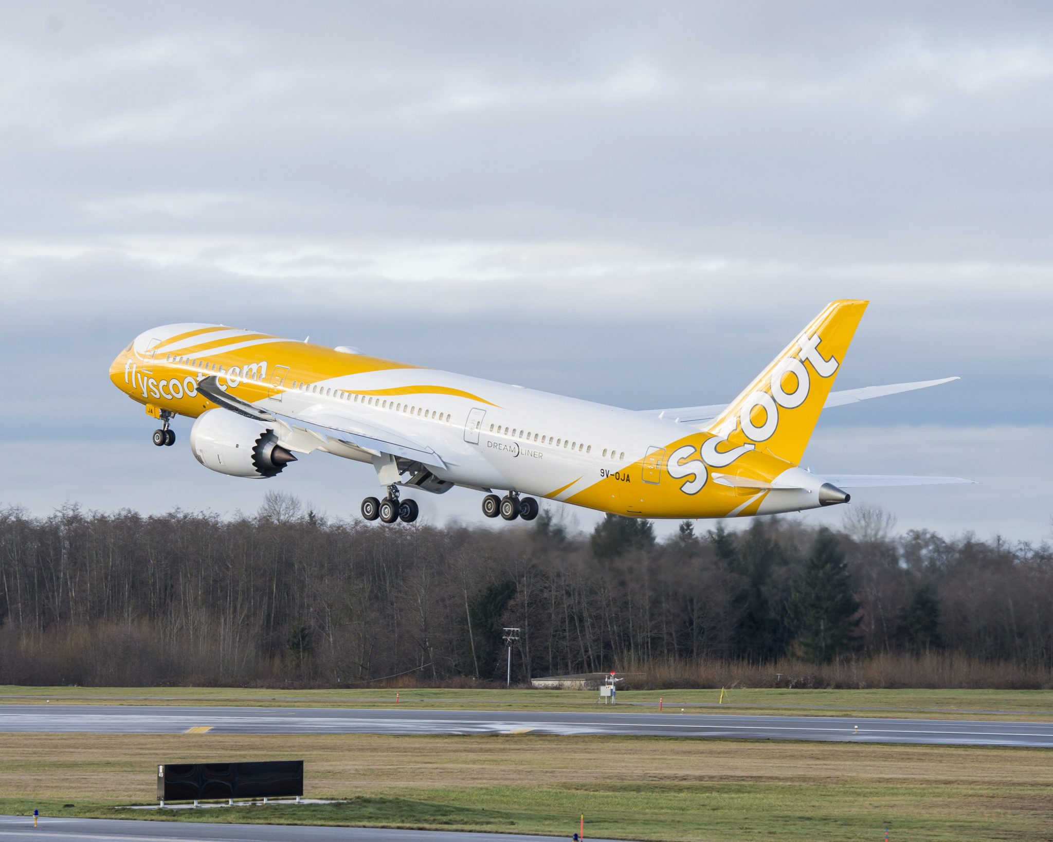 Power bank catches fire injuring two onboard Scoot flight