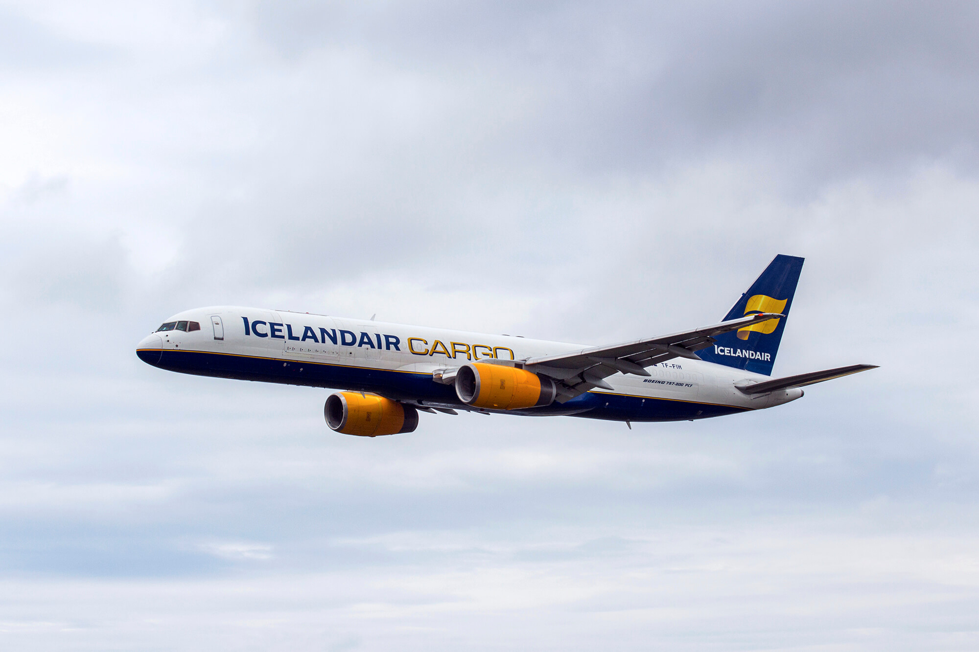 Icelandair fires all its cabin crew 