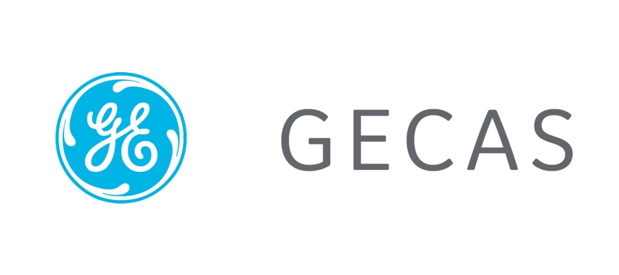 GECAS appoints new EVP for its commercial  international arm
