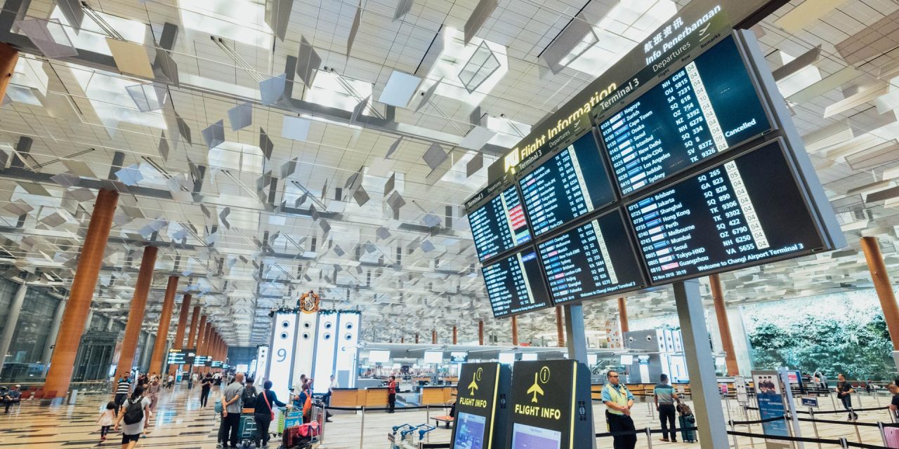 IATA: Digitalization needed for smooth restart