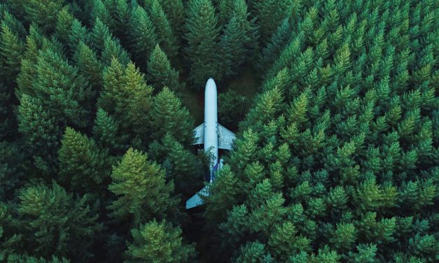 WEF launches the Sustainable Aviation Challenge